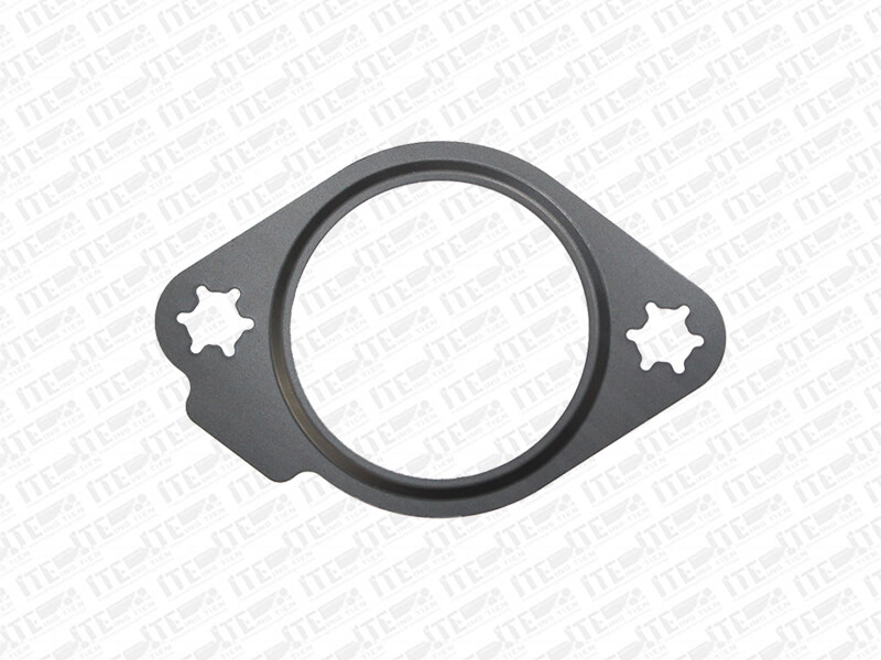 Coolant Pipe Gasket