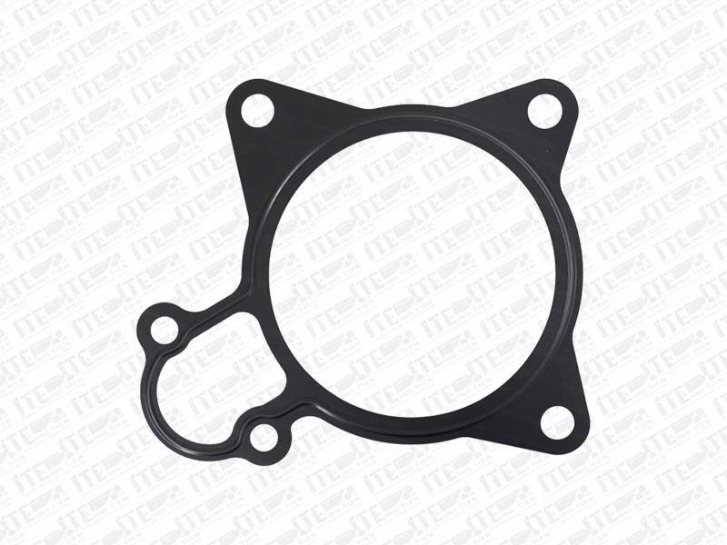Water Pump Gasket