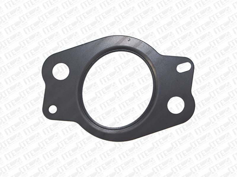 Coolant Pipe Gasket
